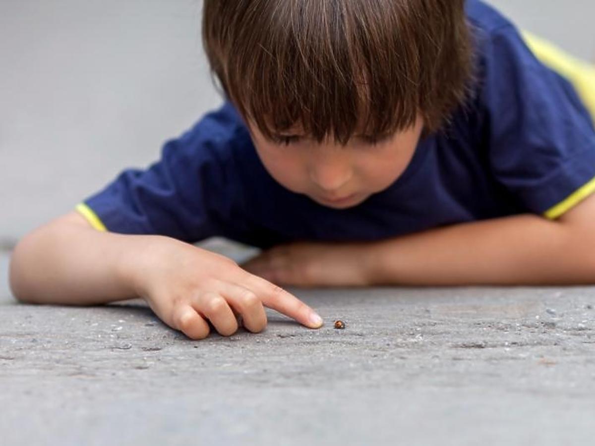 Chłopiec leży na ulicy i obserwuje biedronkę