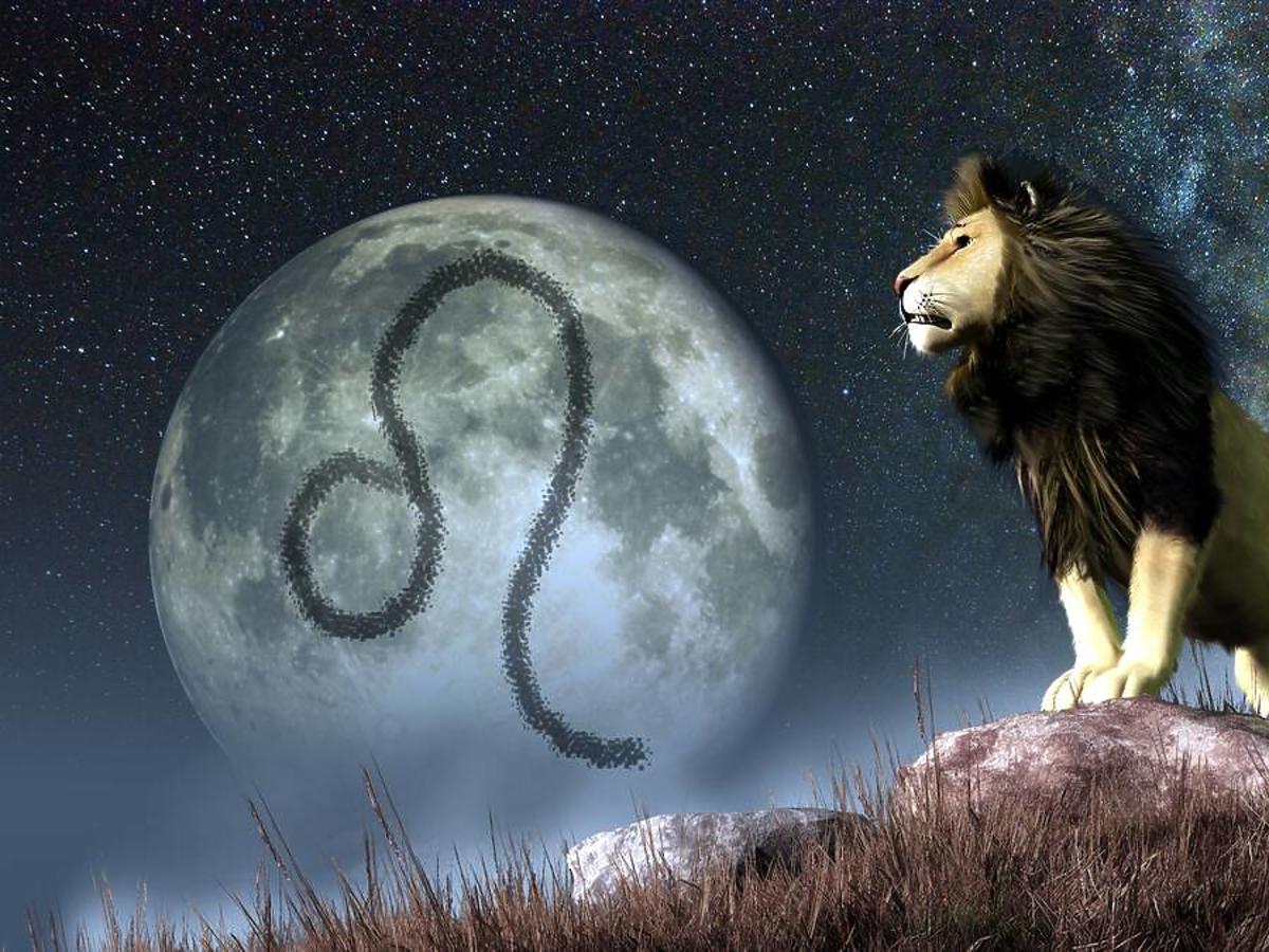 jaki znak zodiaku pasuje do lwa