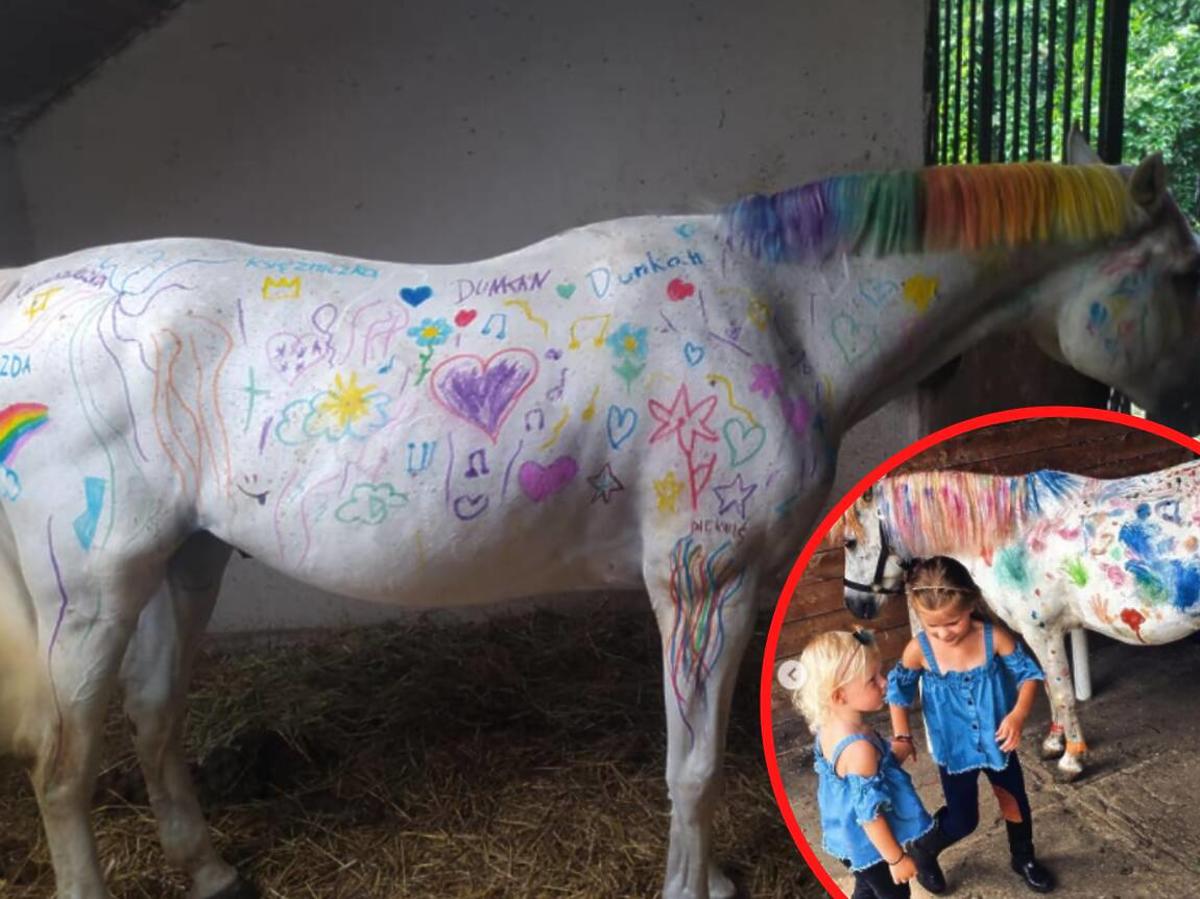 malowanie koni
