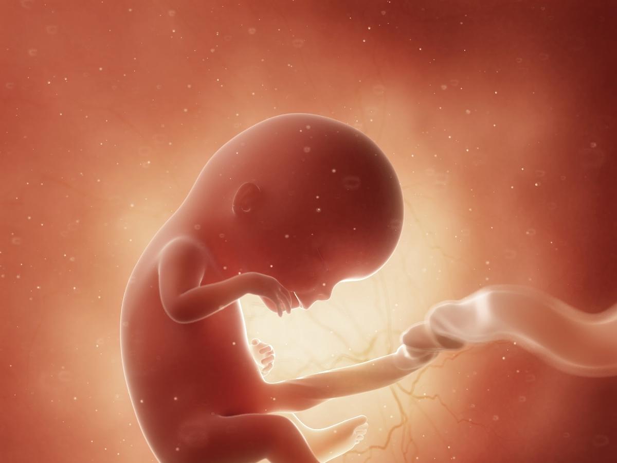 Sæbe Færøerne Daggry 12 tydzień ciąży: co się dzieje u mamy i dziecka? - kalendarz ciąży