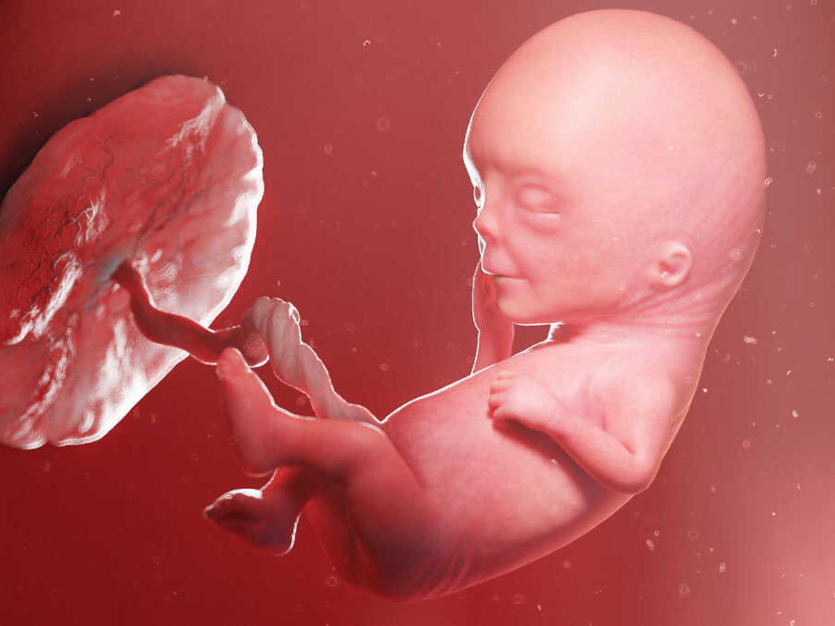 zdjęcie dziecka w 12 tygodniu ciąży