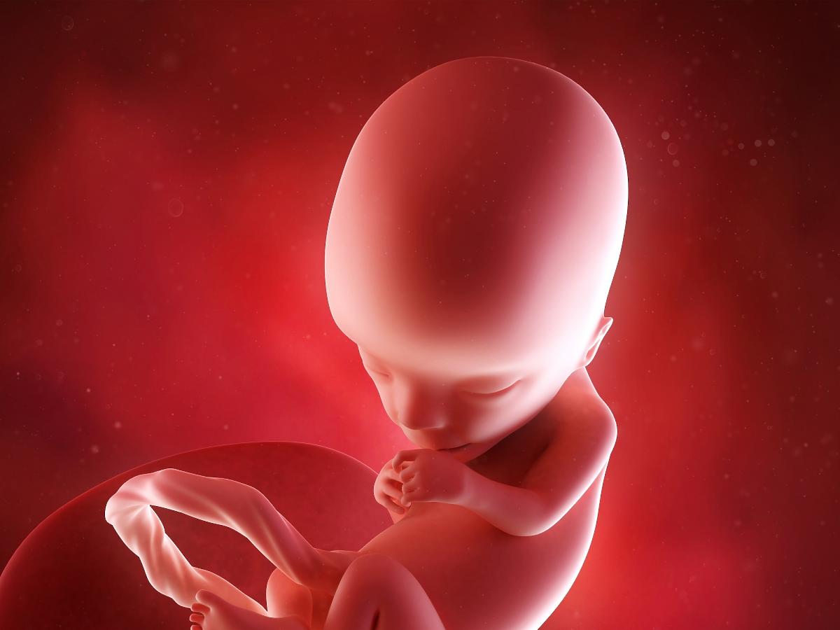 edderkop Citron selvmord 13 tydzień ciąży: co się dzieje u mamy i dziecka? Kalendarz ciąży