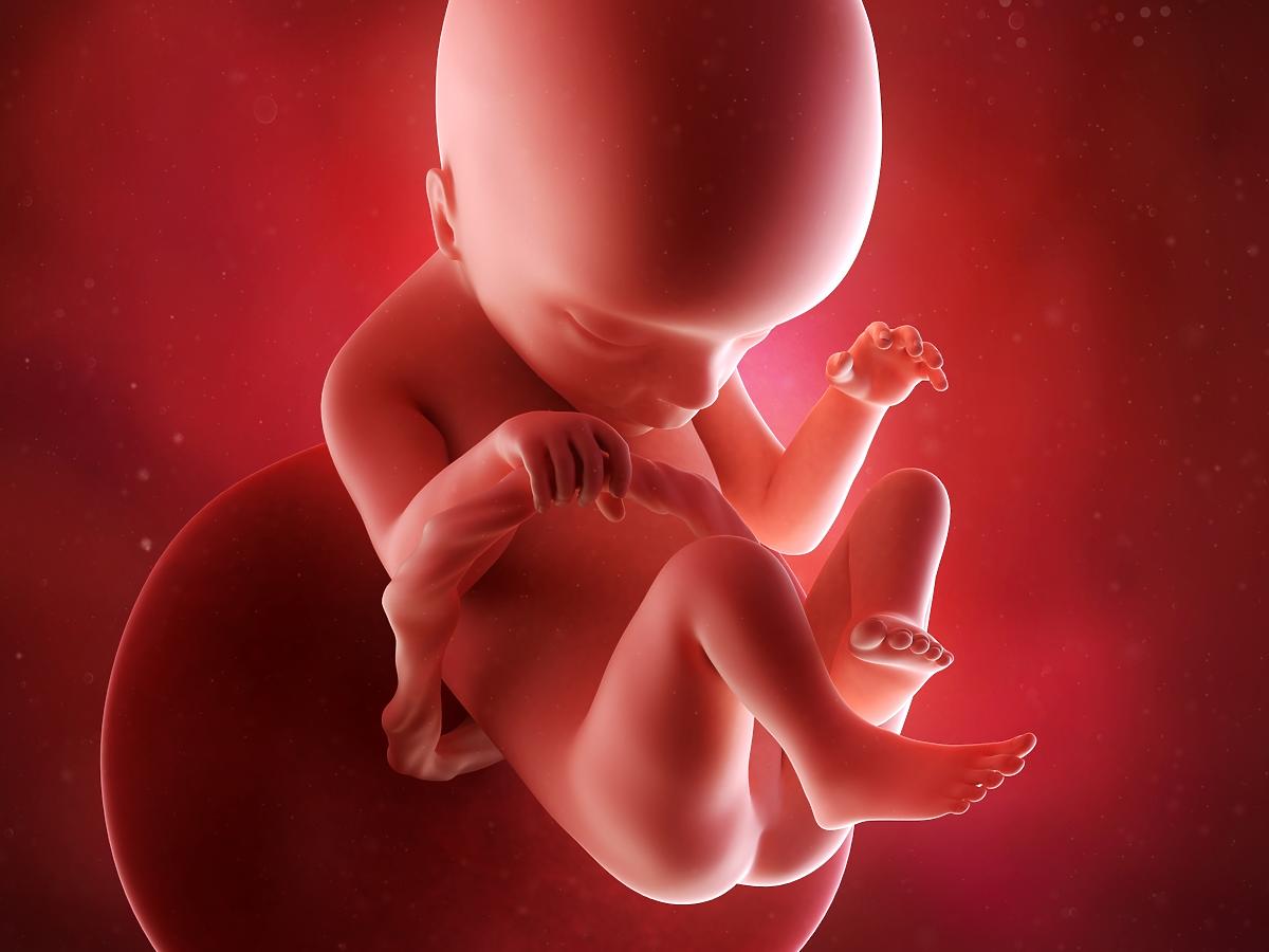 Ordsprog dejligt at møde dig Konkurrere 18 tydzień ciąży: co się dzieje u mamy i dziecka? – kalendarz ciąży