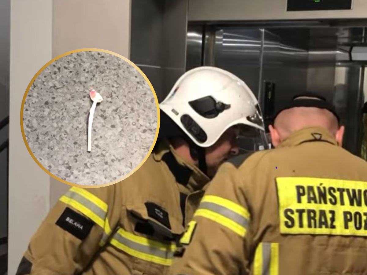 Bielawa: strażacy ratowali dziecko zatrzaśnięte w windzie. Odkryli też co było powodem awarii