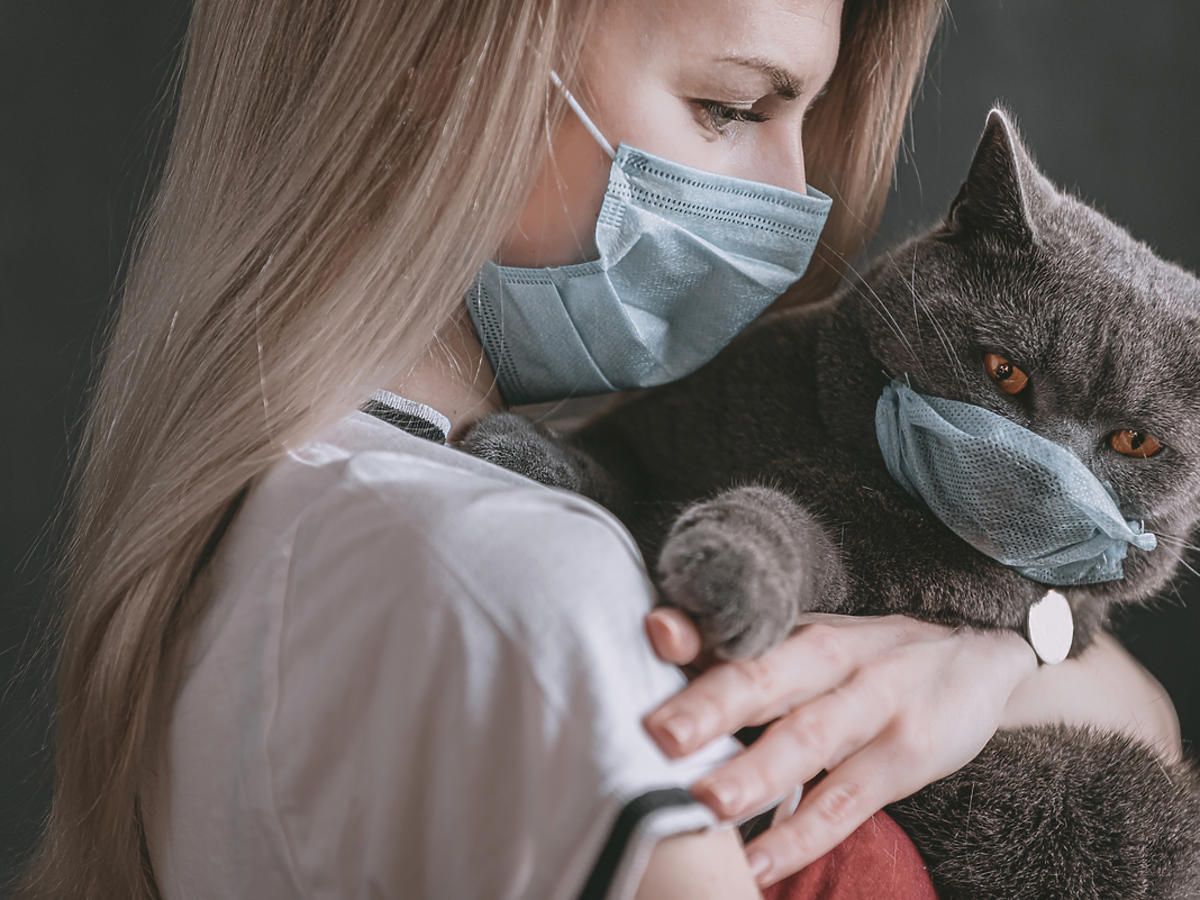 Chińscy naukowcy przestrzegają – koronawirus może występować u kotów! 