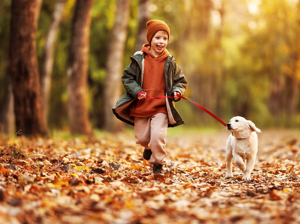 Chłopiec z psem w parku - jesień