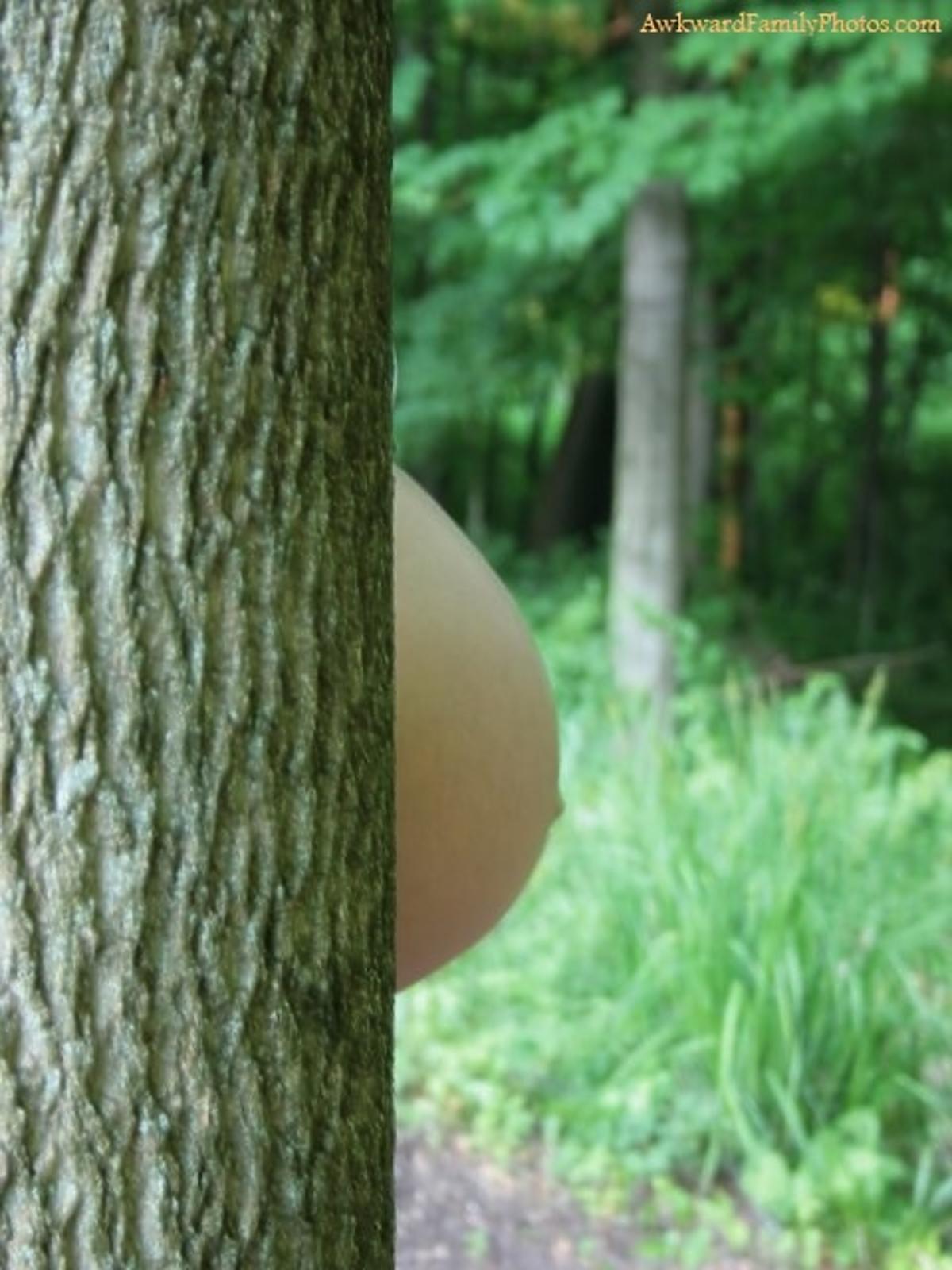 Ciążowy brzuch za drzewem