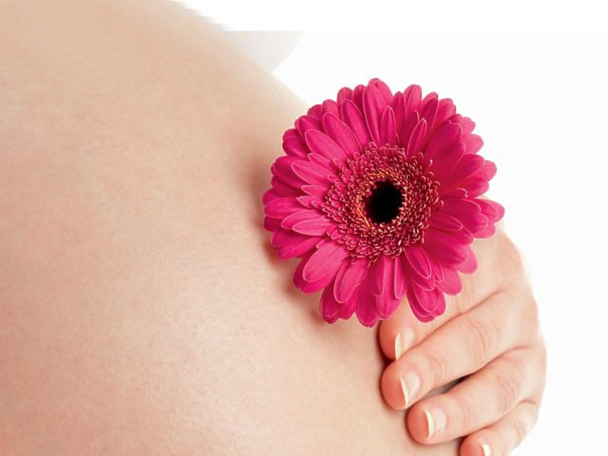 ciąża, brzuszek, kwiatek, gerber