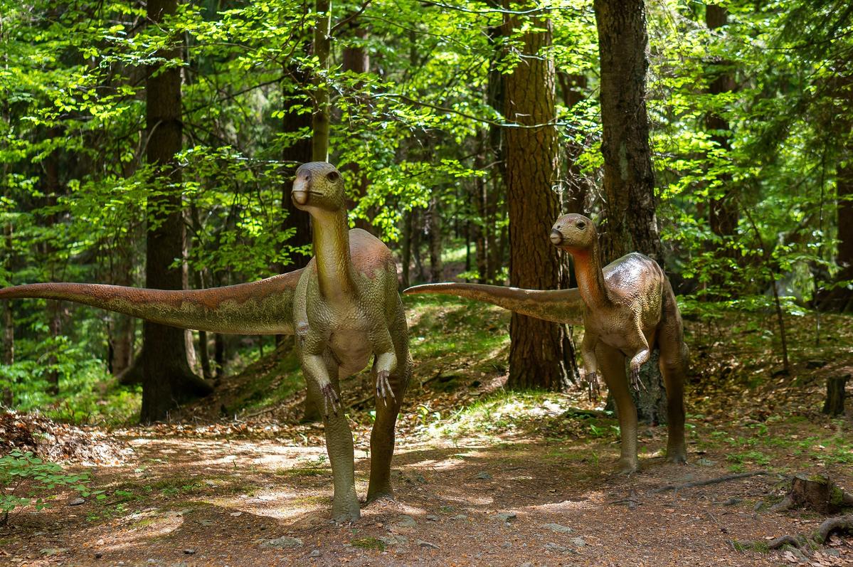 Dinopark atrakcja w Szklarskiej Porębie