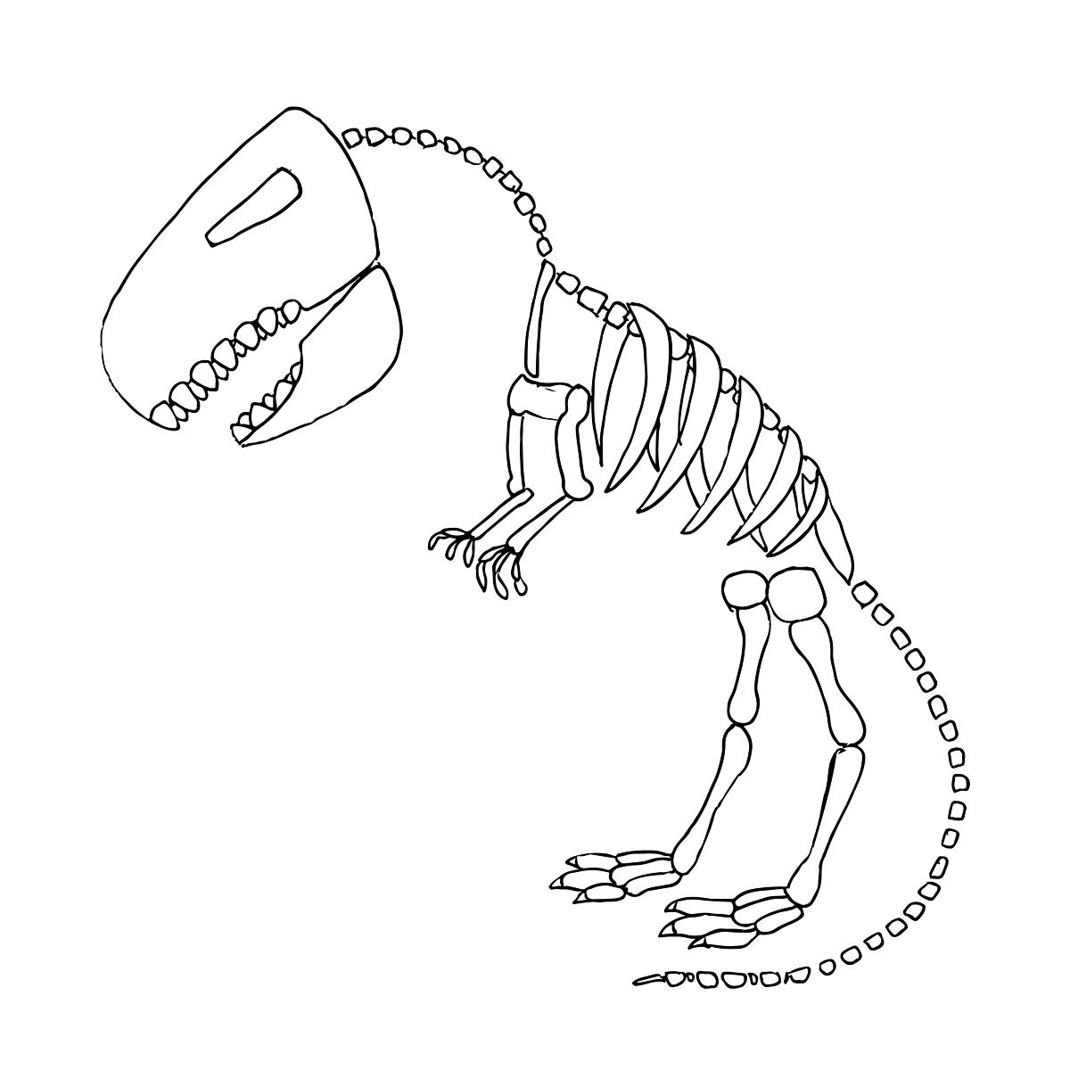 dinozaury kolorowanki szkielet