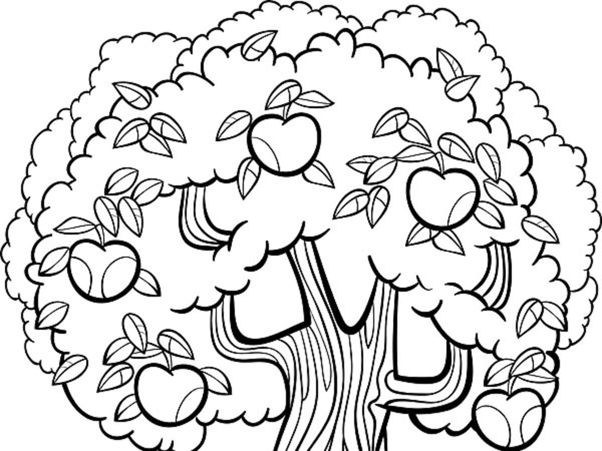 drzewo, kolorowanka, jabłoń, kolorowanka dla dzieci, kolorowanka do druku