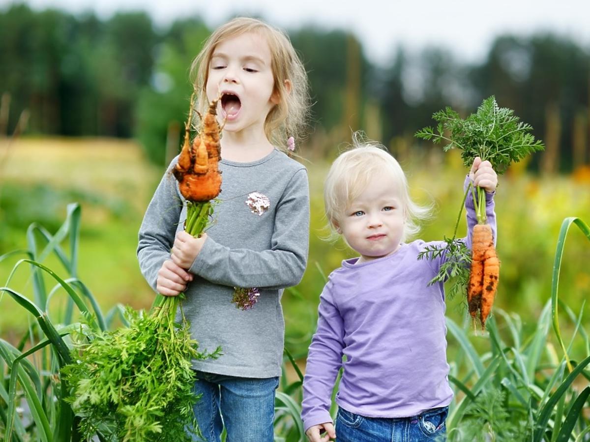 dzieci warzywa