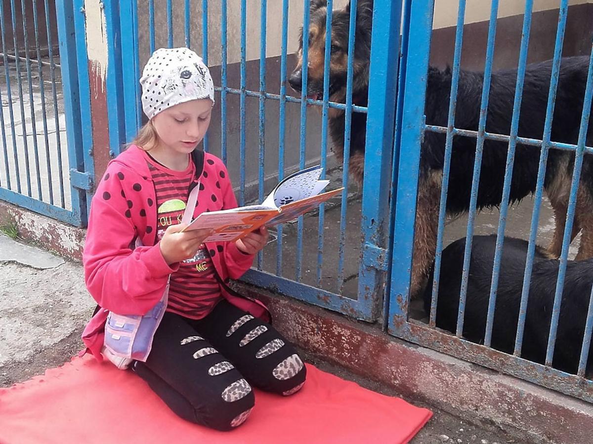 Dzieci ze Słupska czytają psom ze schroniska