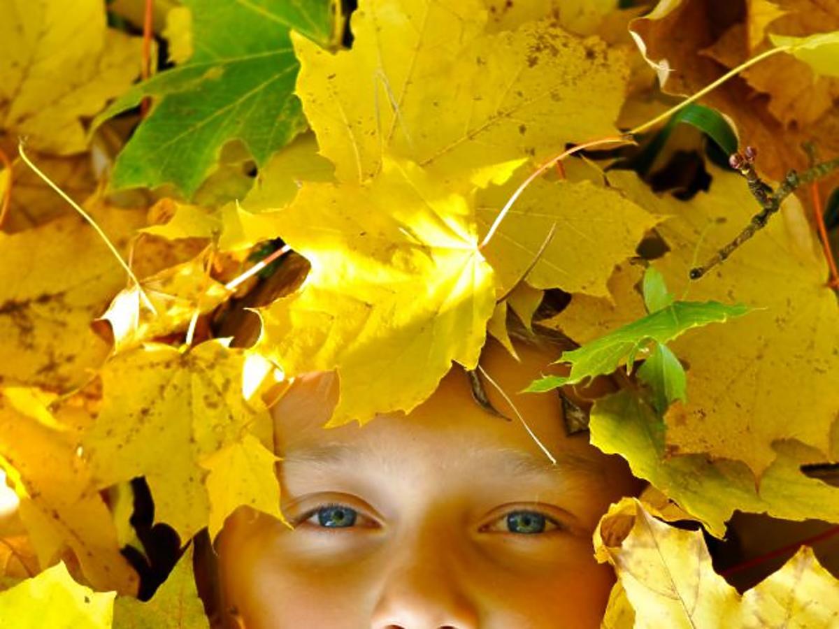 dziecko, jesień, liście