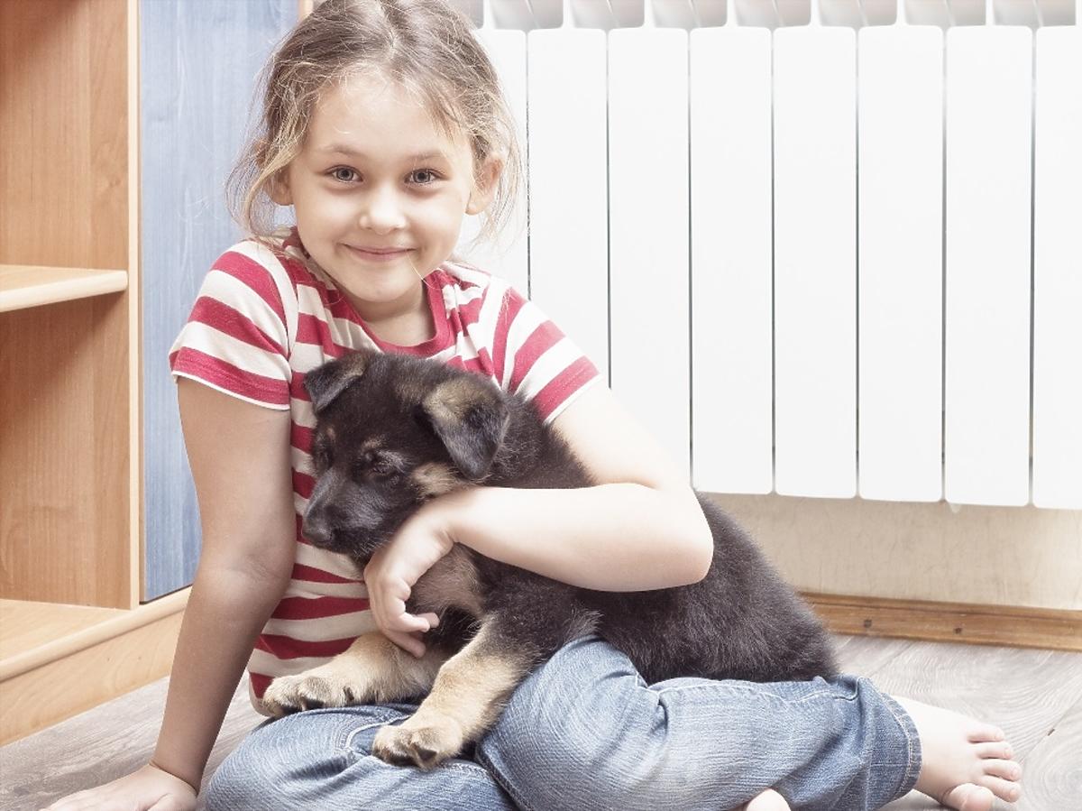 dziewczynka i pies