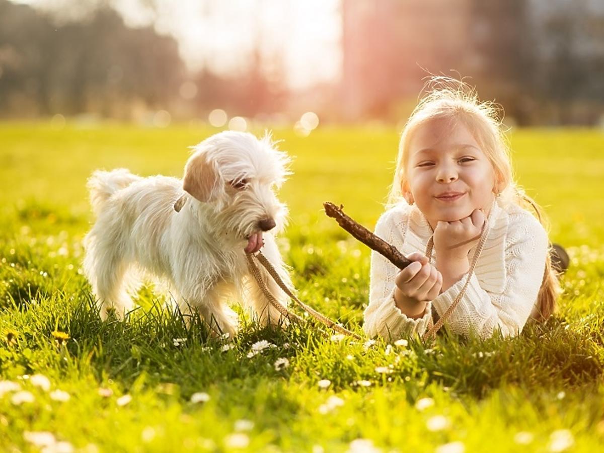 dziewczynka, pies, zabawa z psem