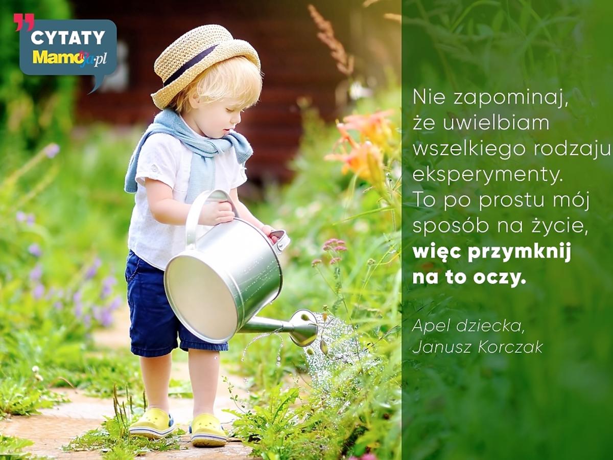 eksperymentowanie przez dzieci cytat z Korczaka mądre memy z mamotoja.pl