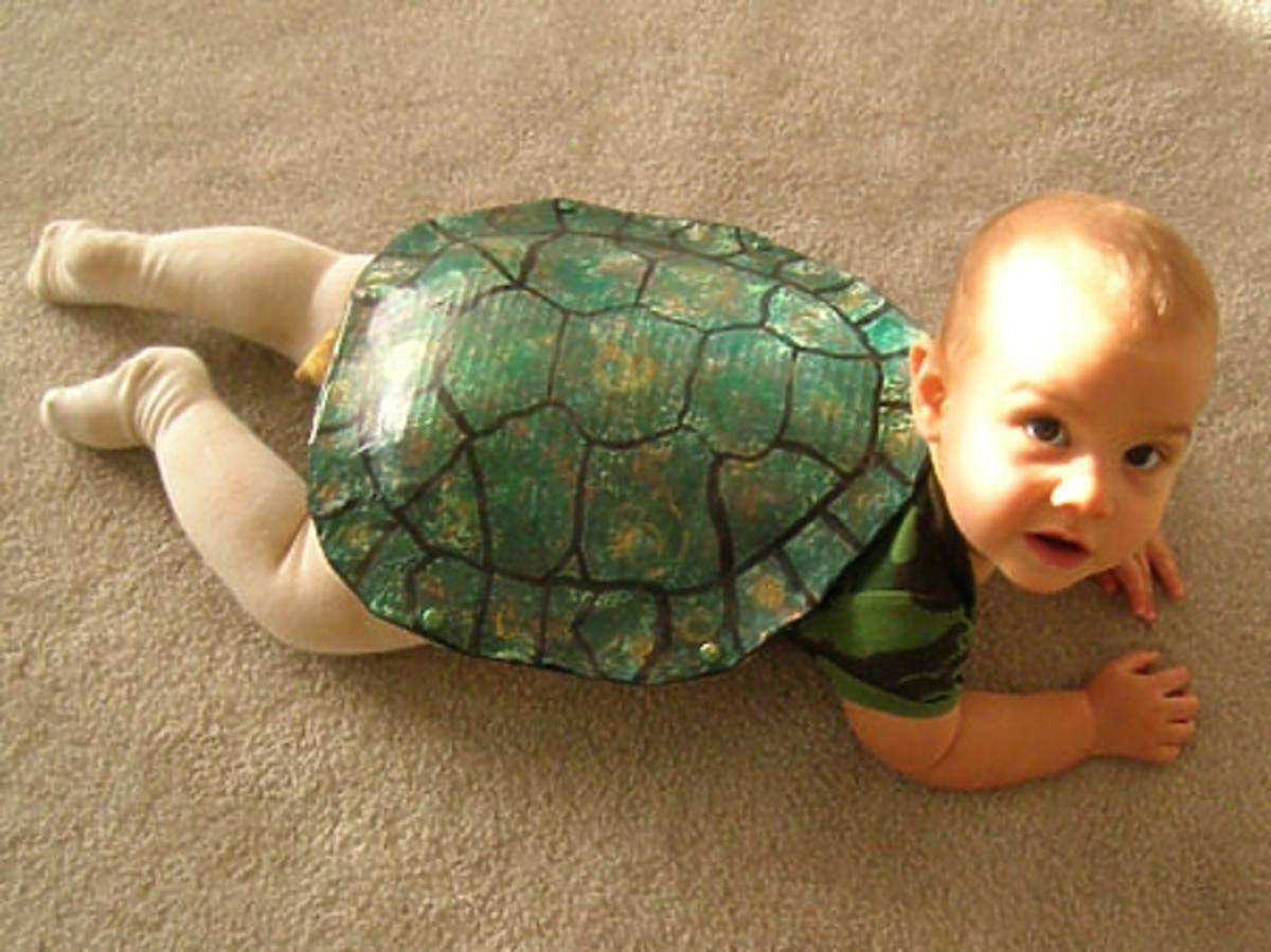 przebranie za żółwia na halloween