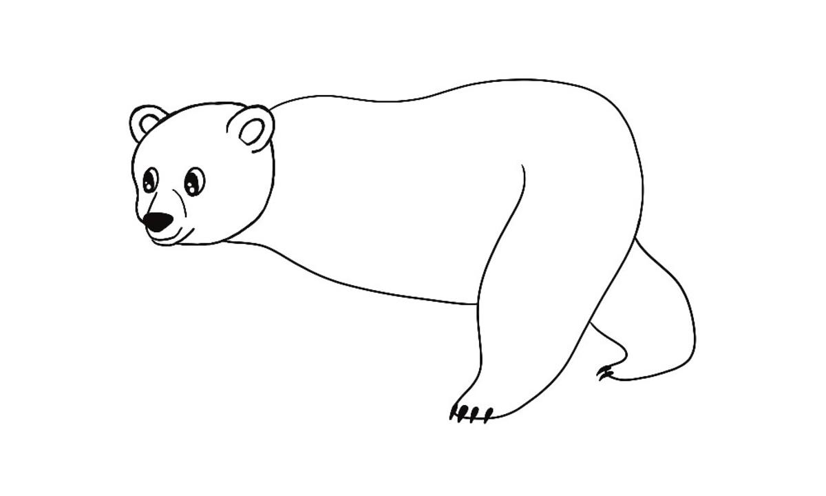 Jak narysować niedźwiedzia krok 3