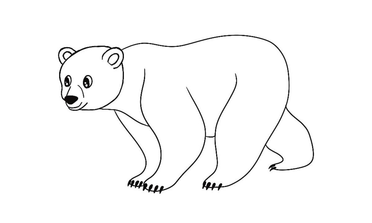 Jak narysować niedźwiedzia krok 4