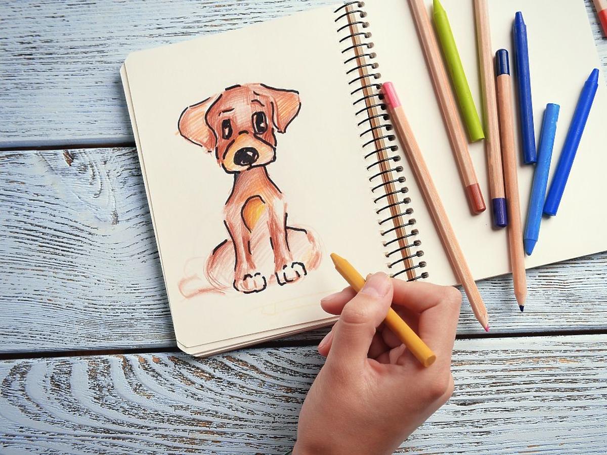 jak narysować psa