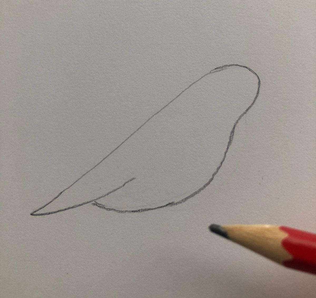 jak narysować ptaka
