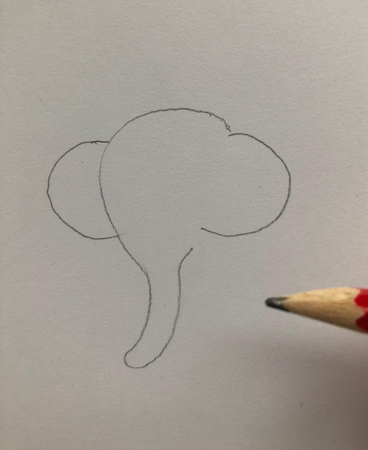 jak narysować słonia