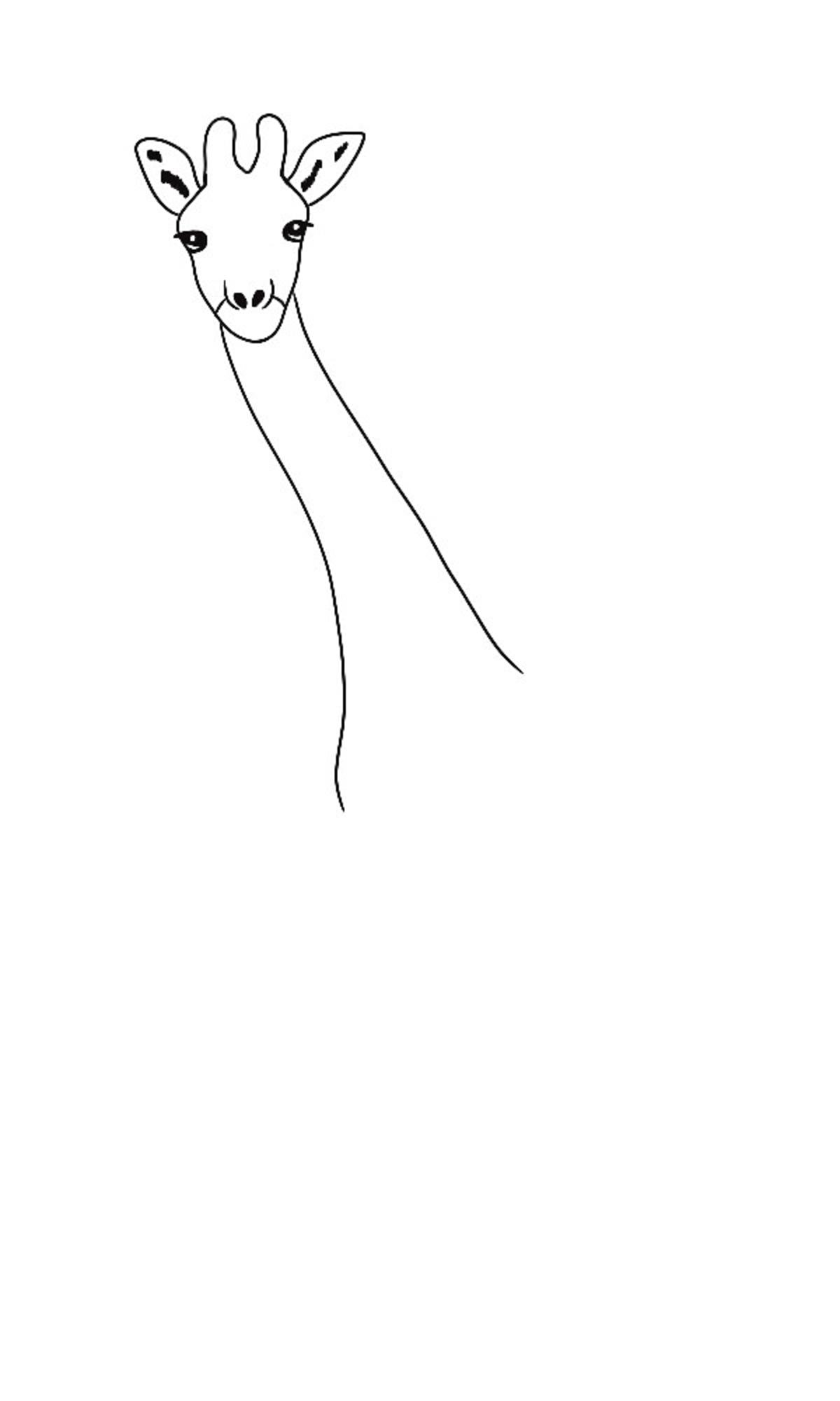 Jak narysować żyrafę krok 2