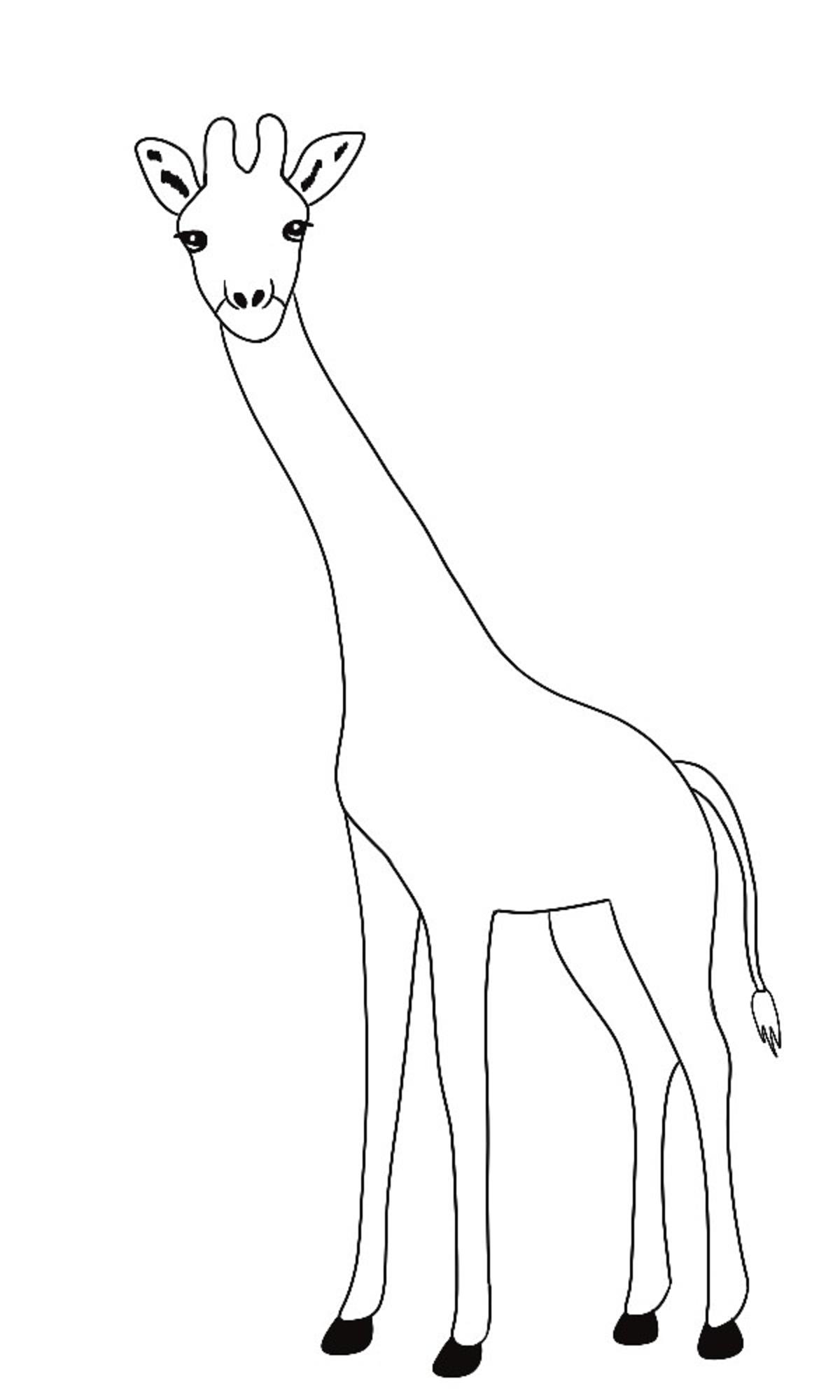 Jak narysować żyrafę krok 4