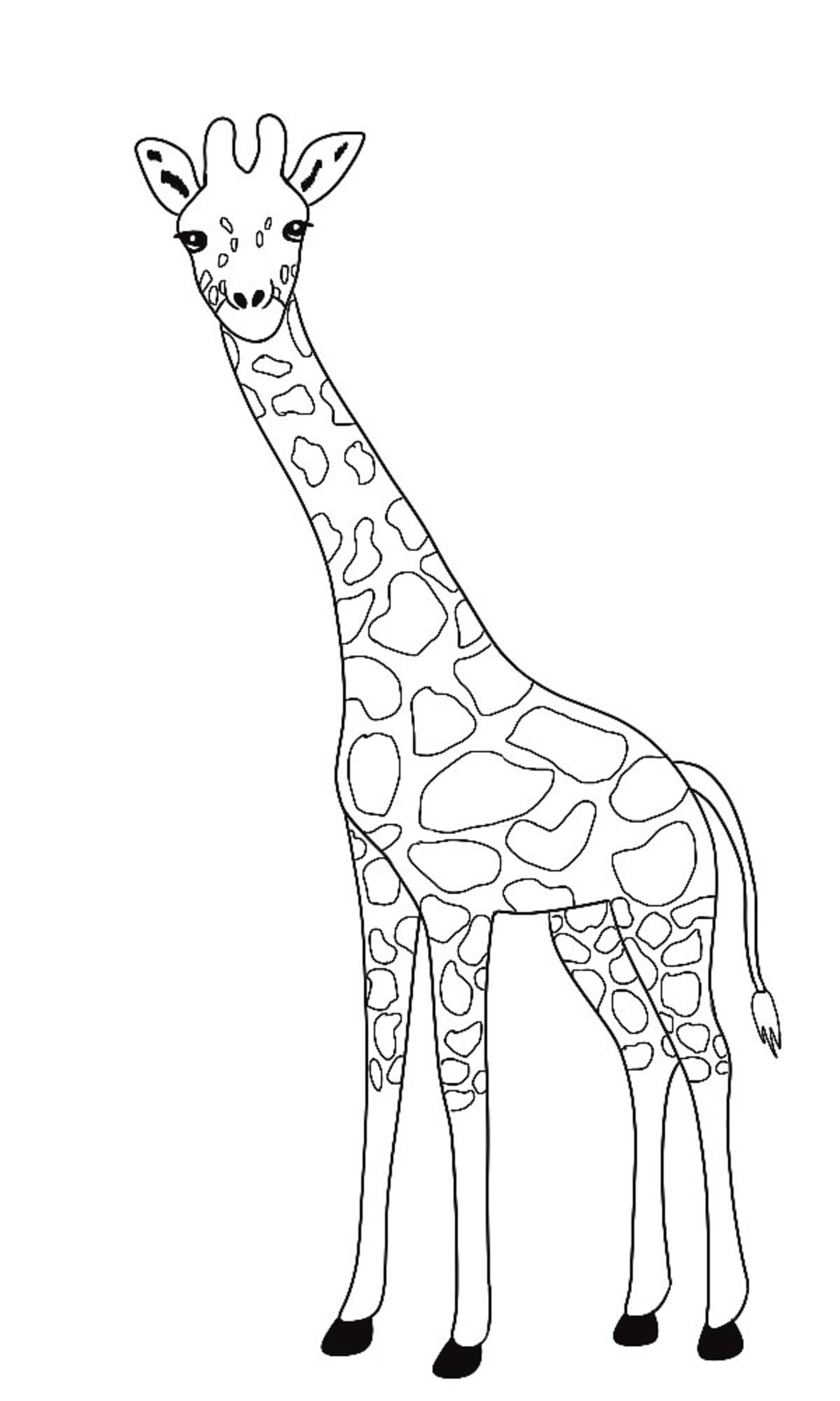 Jak narysować żyrafę krok 5