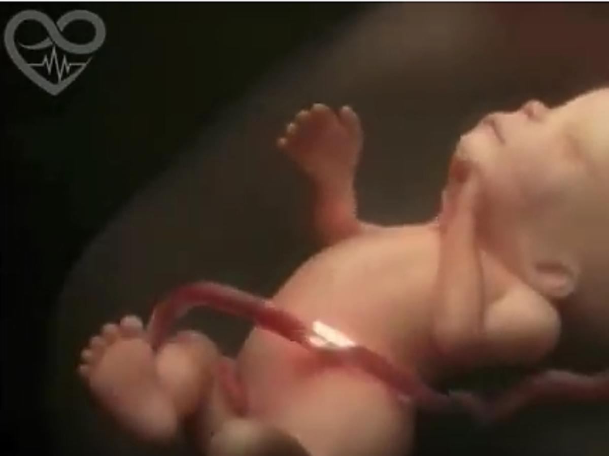 kadr z filmu  Life in the womb (9 months in 4 minutes) HD