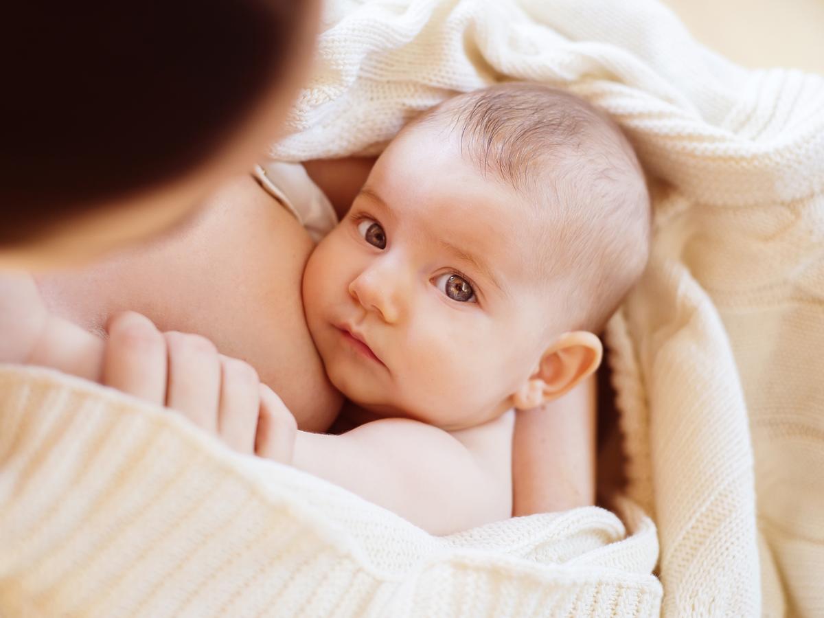 karmienie piersią, niemowlę przy piersi