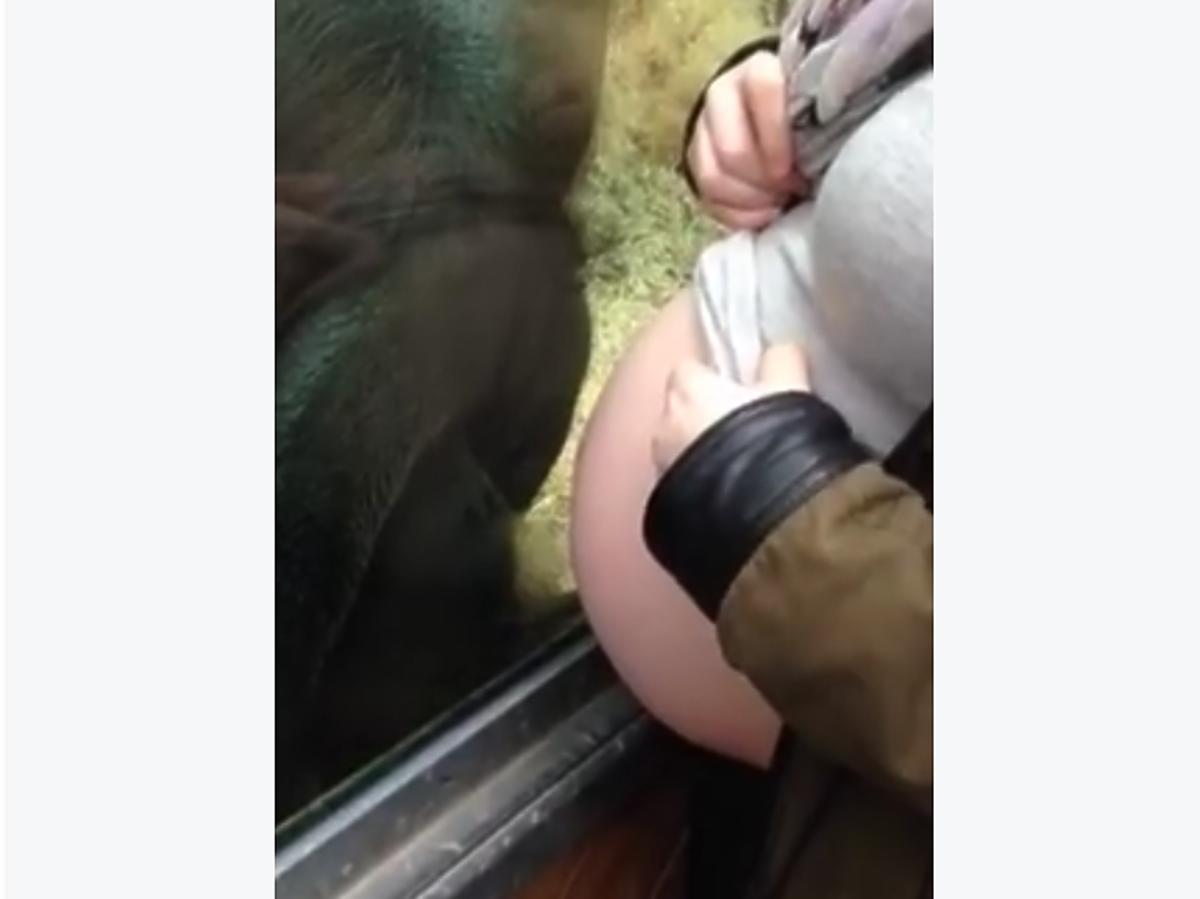 Kobieta przystawia swój ciążowy brzuch do kaltki zwierzęcia