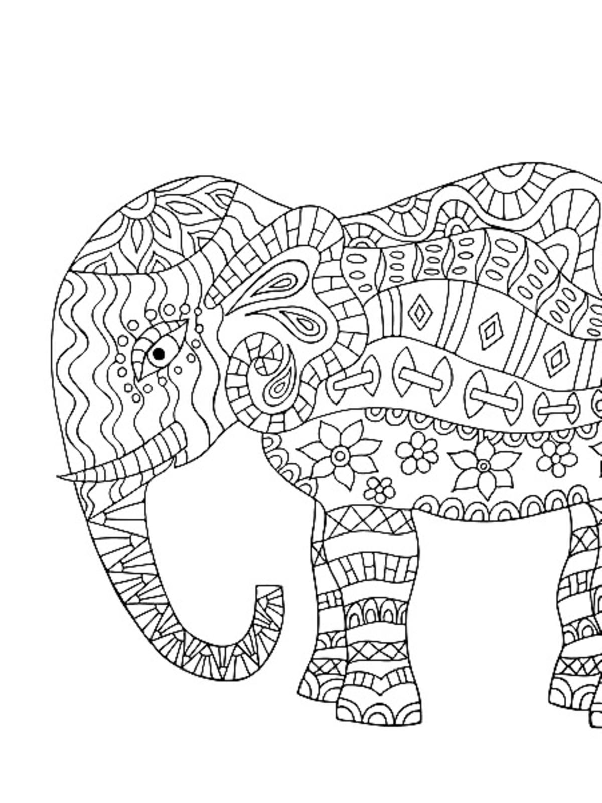 Kolorowanka dla dorosłych: słoń
