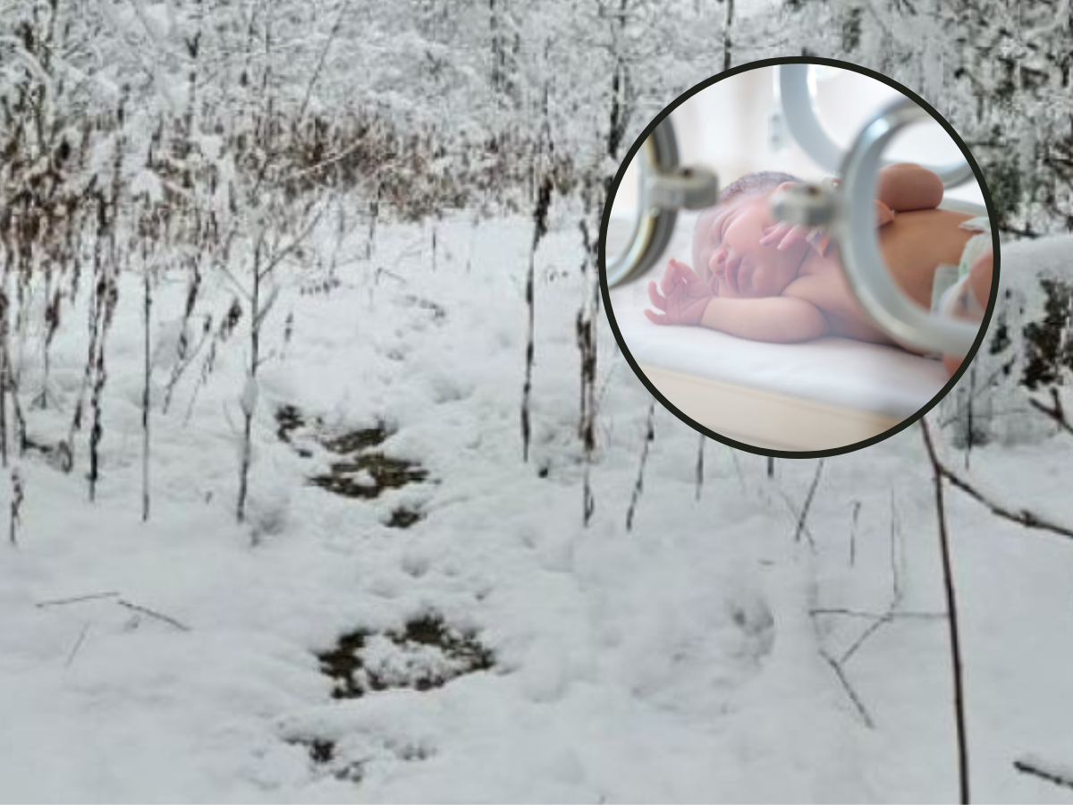 Krotoszyn: powiedziała, że znalazła noworodka w lesie. Wiadomo, dlaczego skłamała