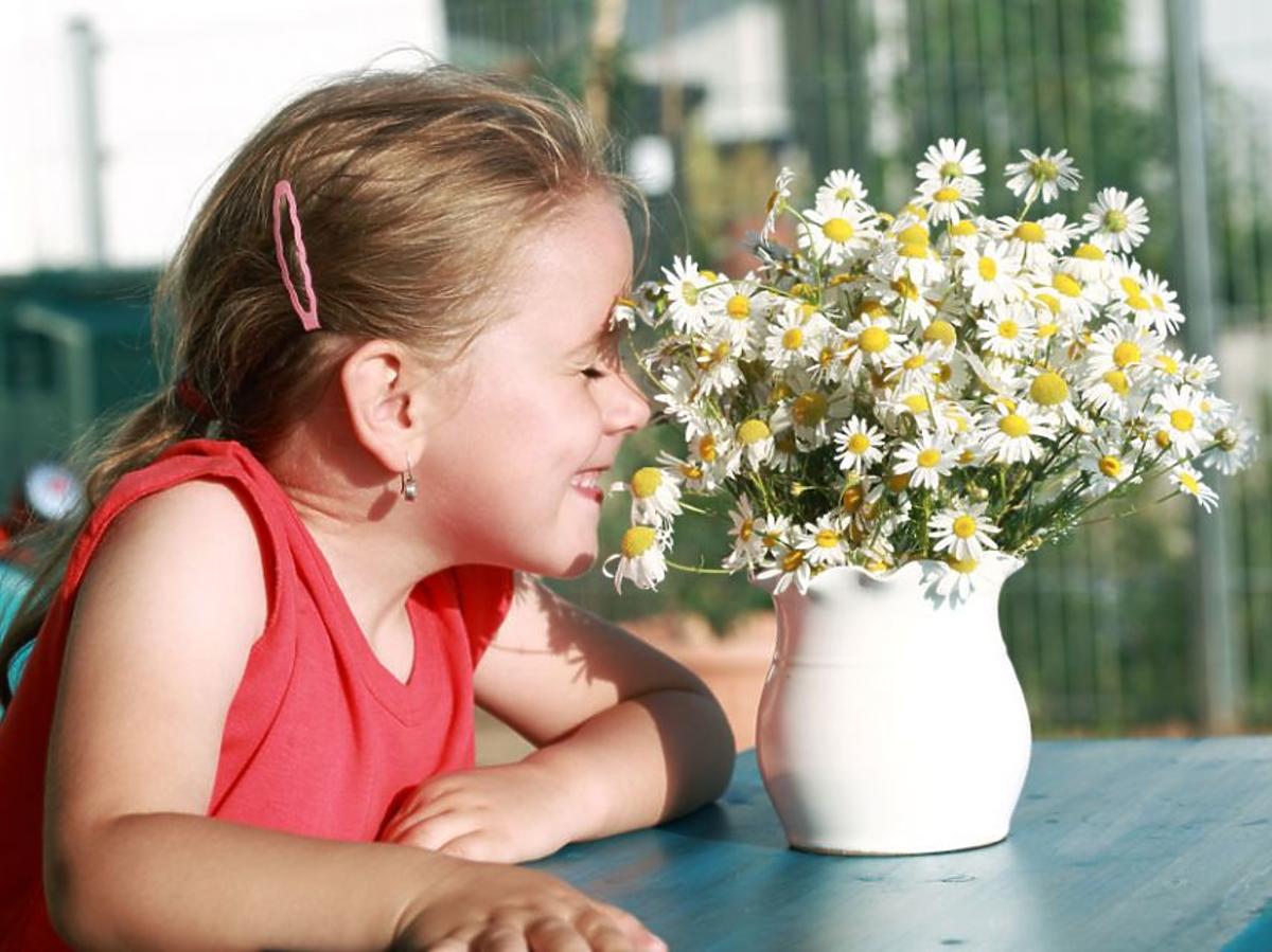 kwiaty, dziecko, balkon