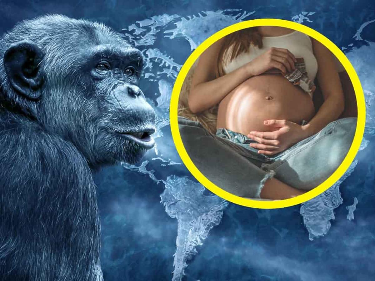małpia ospa a ciąża