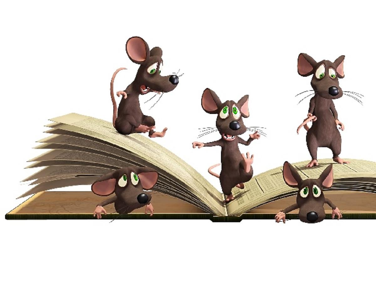 Myszki na książce, książka