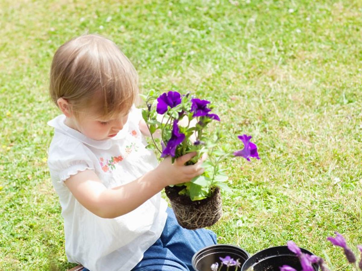 ogród, dziecko, kwiaty