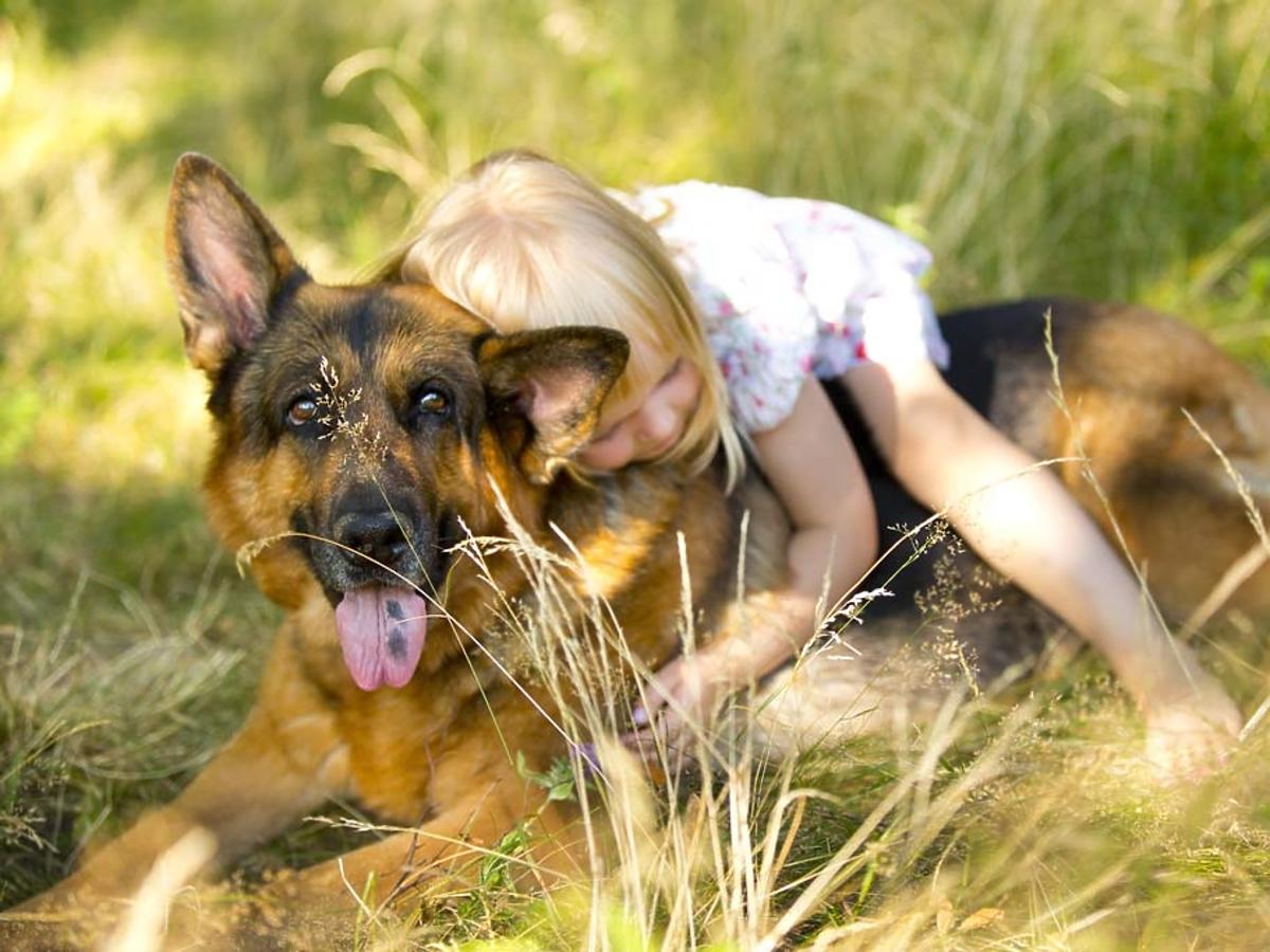 Pies i dziecko