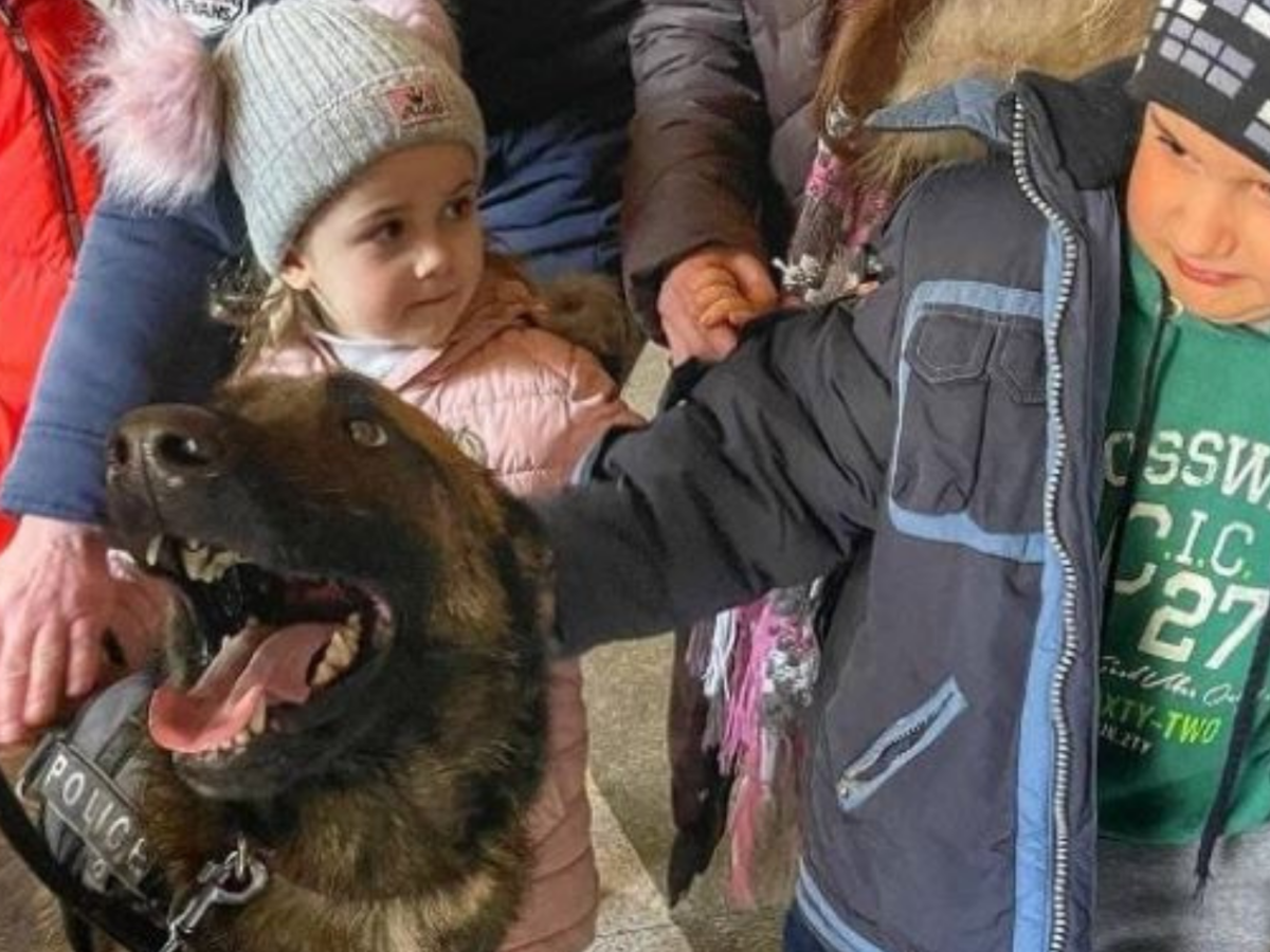 Pieski na dworcu w Kijowie wspierają dzieciaki. Te zdjęcia chwytają ze serce