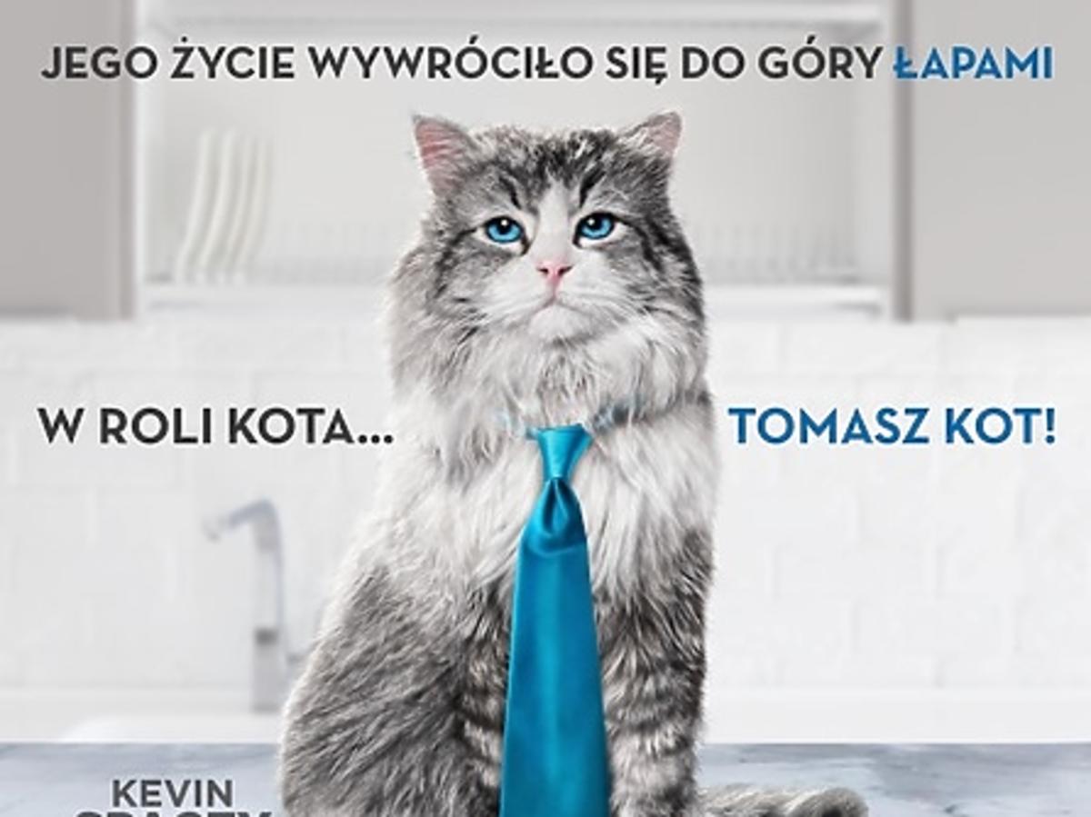plakat "jak zostać kotem"