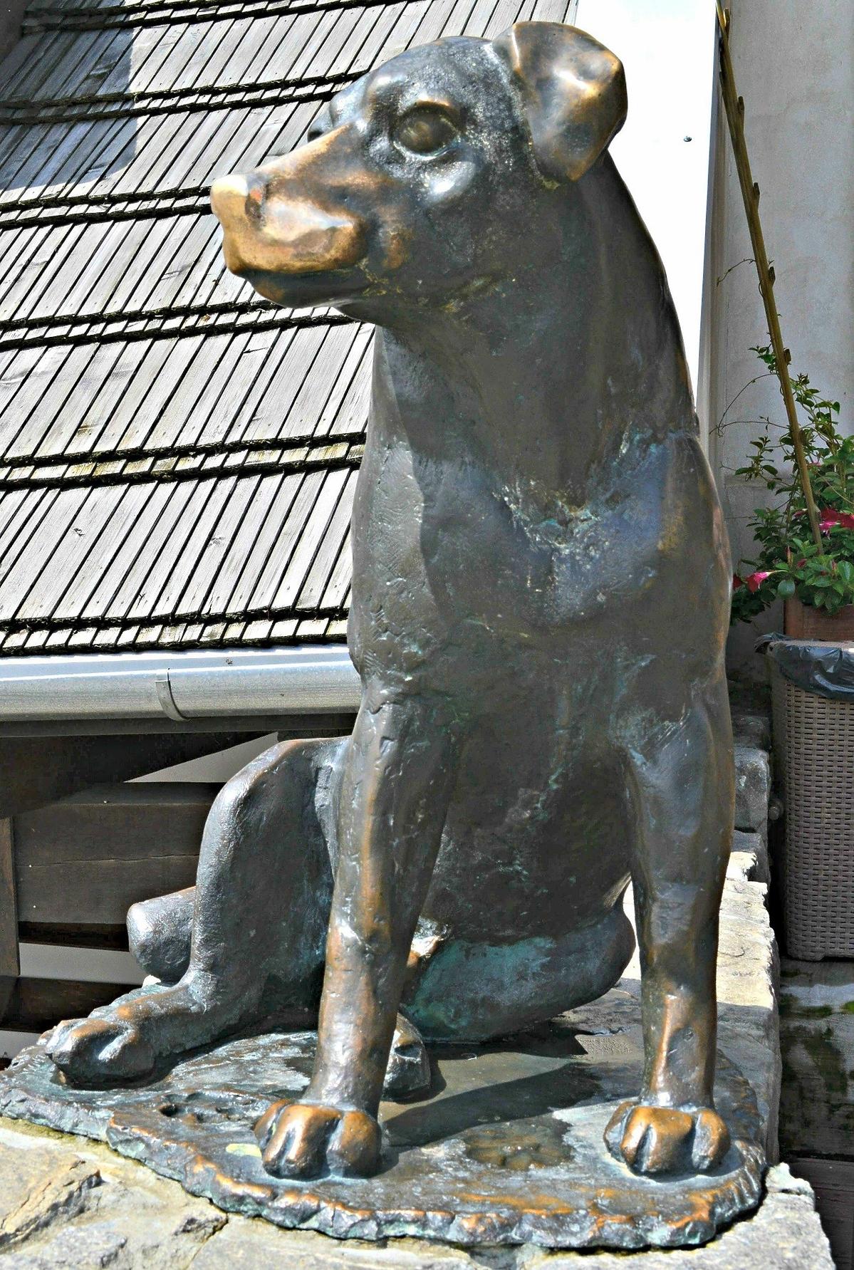 Pomnik psa Werniksa