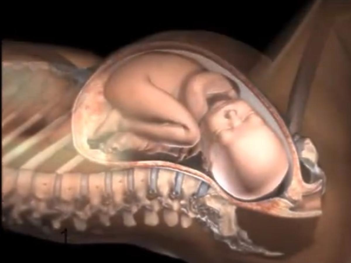 Poród - film z porodu
