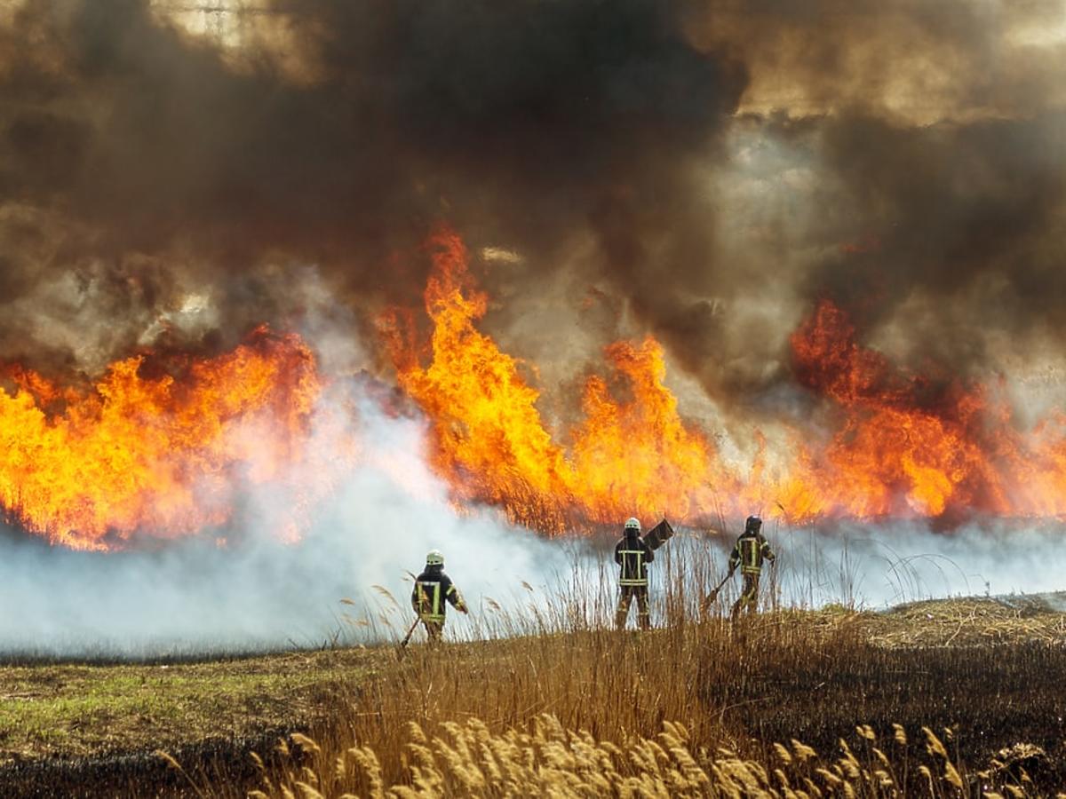 Pożary lasów wokół Czarnobyla. Czy ich skutki mogą zagrażać Polsce?