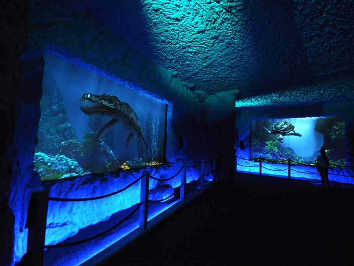 Prehistoryczne Oceanarium w Bałtowie
