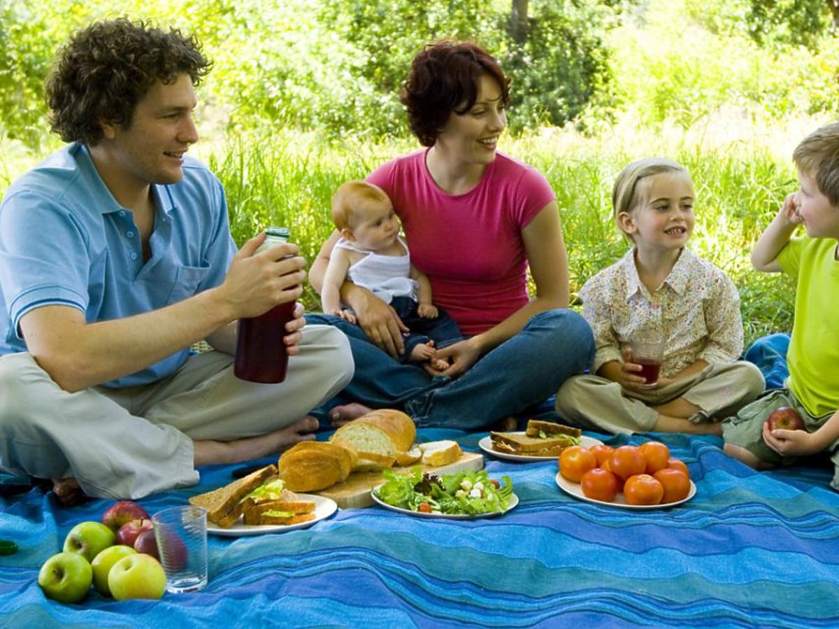 rodzina, piknik, majówka, przyrod