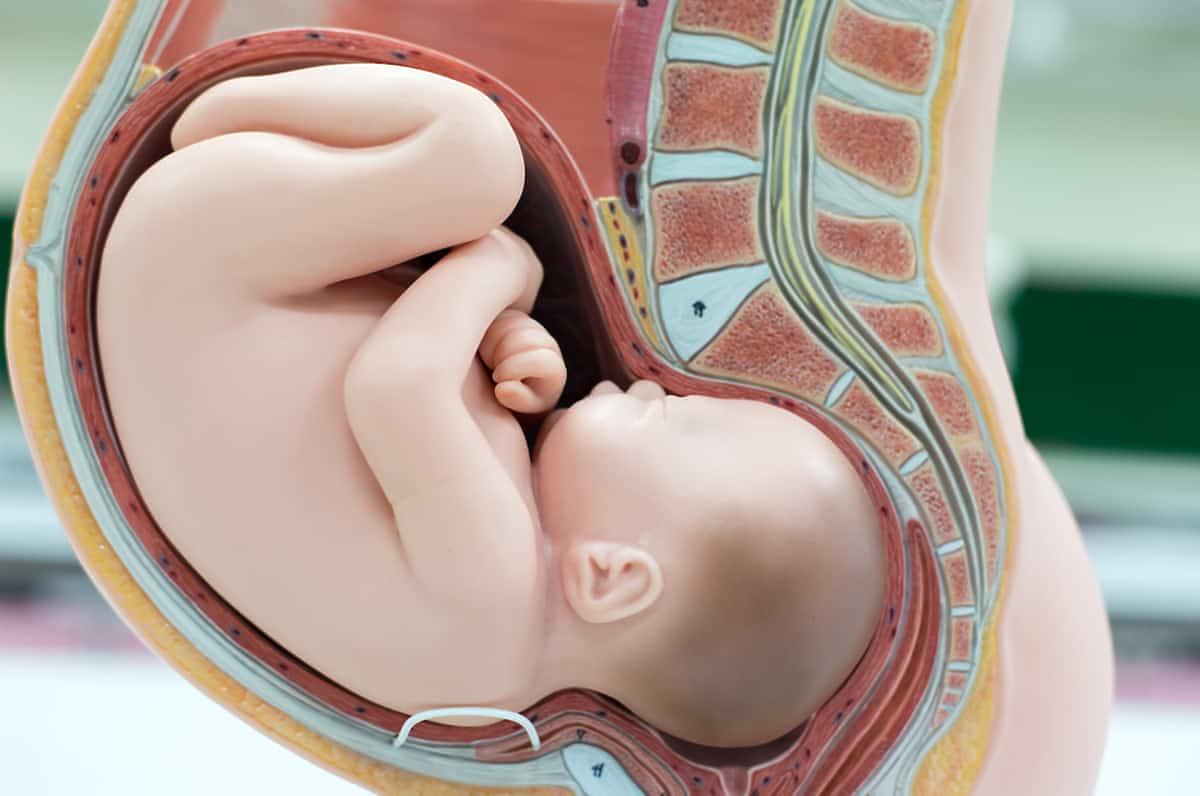 ruchy dziecka przed porodem schemat dziecka w brzuchu
