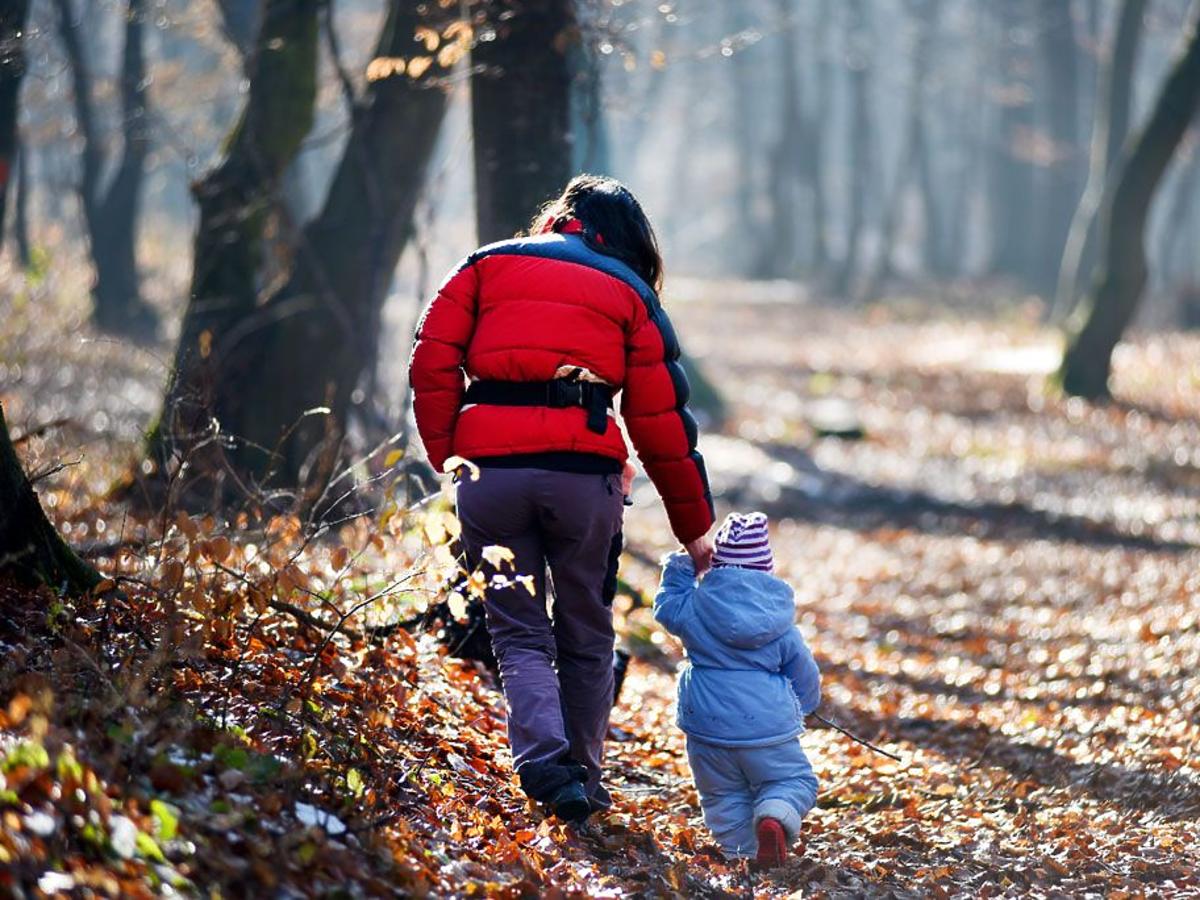 spacery z dzieckiem po lesie