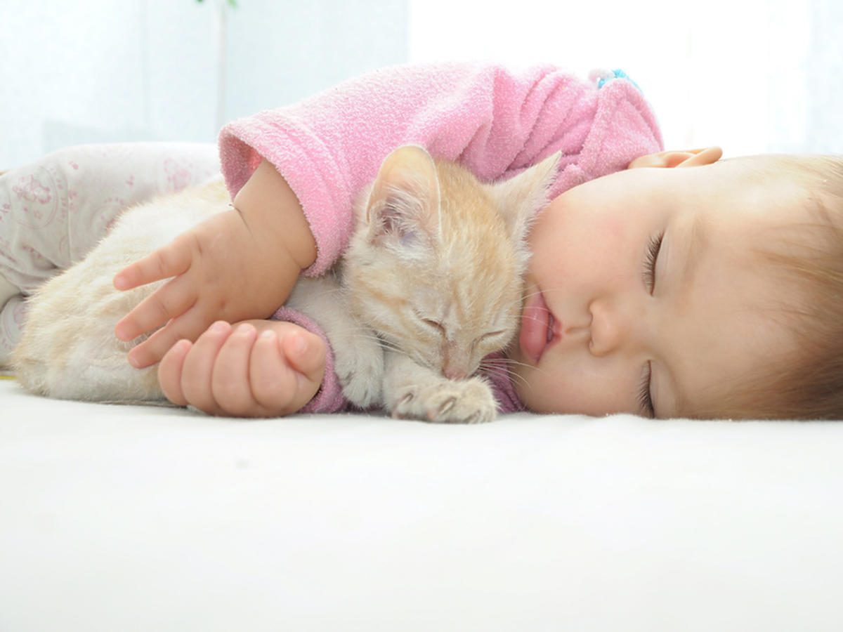 śpiące niemowlę z kotem